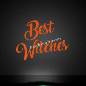 best witches halloween heat iron on …