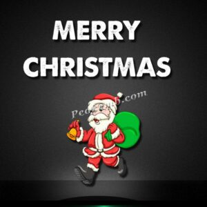 santa w/ gift box merry christmas h …