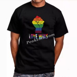 love wins custom heat transfer desi &hellip;