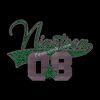 wholesale Hotfix Iron on Nineteen 1908 AKA Rhinestone T shirt Transfers 2 Peakxf 2111077 9.5x6.8 GH91.