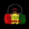 wholesale Juneteenth 1865 Iron on Heat Vinyl Transfers for Custom T-shirt 2 Peakxf 2203151 1 13