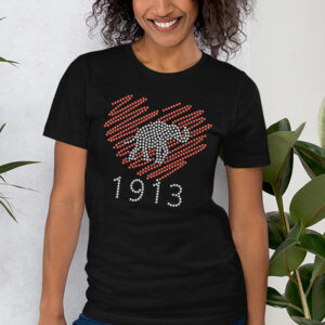 Wholesale Cheap Delta Sigma Theta 1 &hellip;