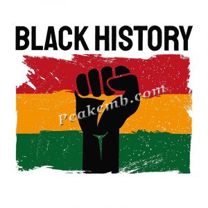 wholesale  Print Black History Heat …