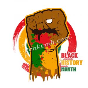 wholesale  PU Vinyl Black History A &hellip;