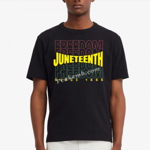 Juneteenth shirt iron on sticker fr …